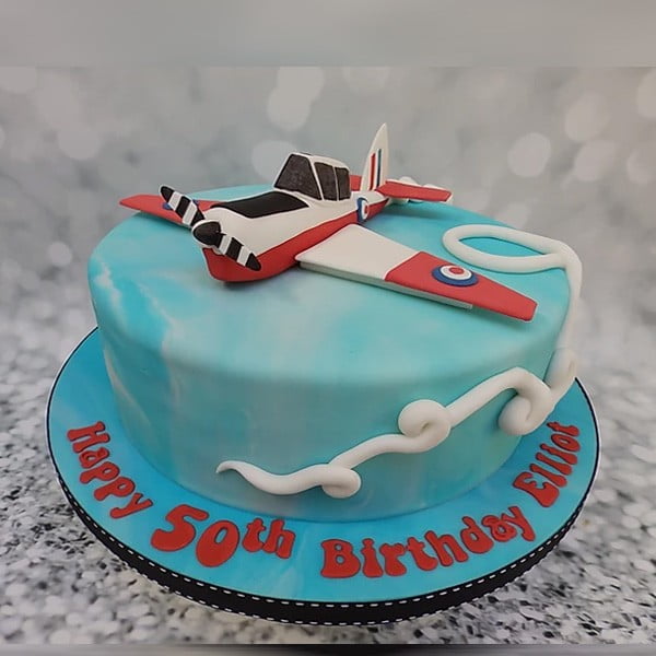 Egg-less Aeroplane Nature Cake